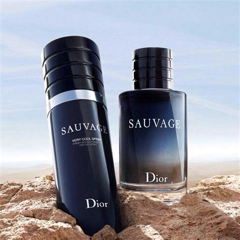 dior oil spray|Dior sauvage spray.